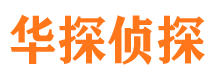 龙江市调查公司